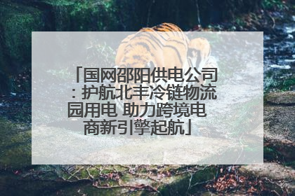 国网邵阳供电公司：护航北丰冷链物流园用电 助力跨境电商新引擎起航